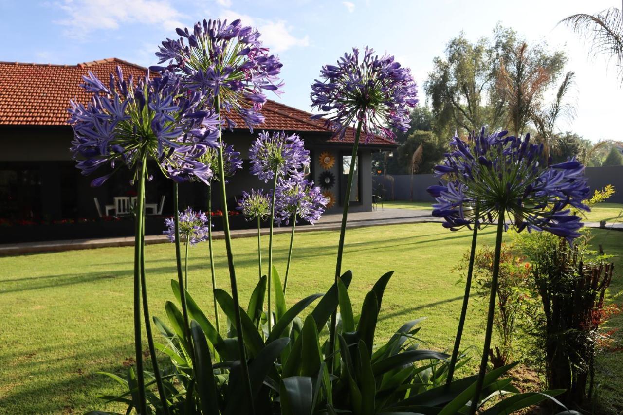 Villa Grande Luxury Accommodation Welkom Eksteriør billede